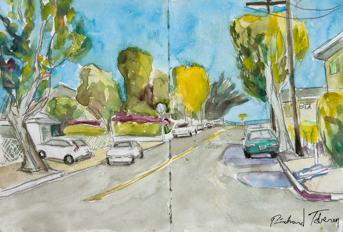 Looking Down Camino del Sur toward Ocean
